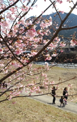川と桜と家族と
