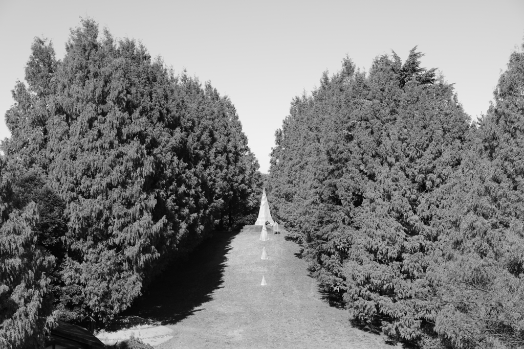 天下をとったおっさん