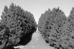 天下をとったおっさん