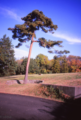 男らしいあいつ