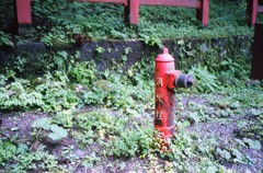 日光の防火対策