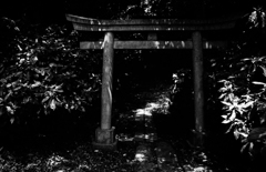 一人行ってみた
