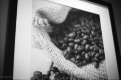 コーヒー豆の表現