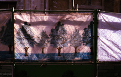 この木なんの木