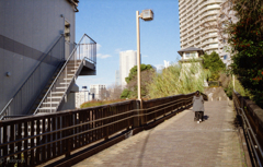 母がまだ若い頃