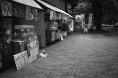 あいつと私の出会い