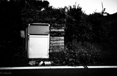 東海物語　ドアを開けるな