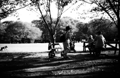 縞模様と転んだあいつ