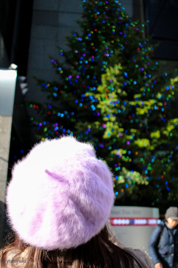 ツリーを見上げて