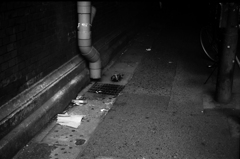 変な物食うなよ