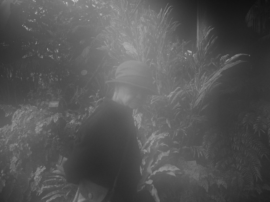 曇ったレンズに写った者
