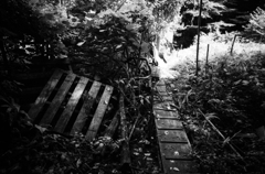 悪魔の森　　人がいた気配