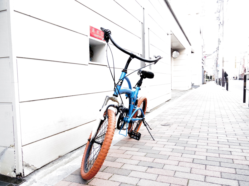 ホワイトの中のあいつ