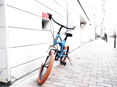 ホワイトの中のあいつ