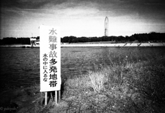 水に入ると死ぬ