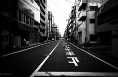 白線の行方