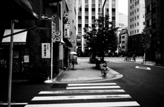 竹の子とあの娘