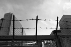 向こうはパラダイスのようだ