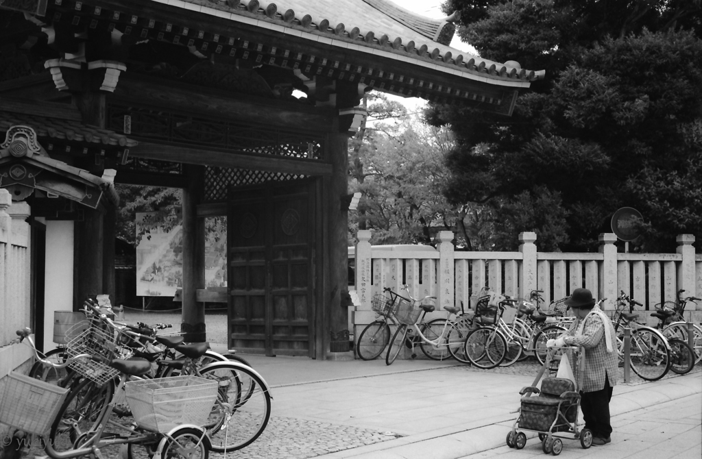 平成の柴又