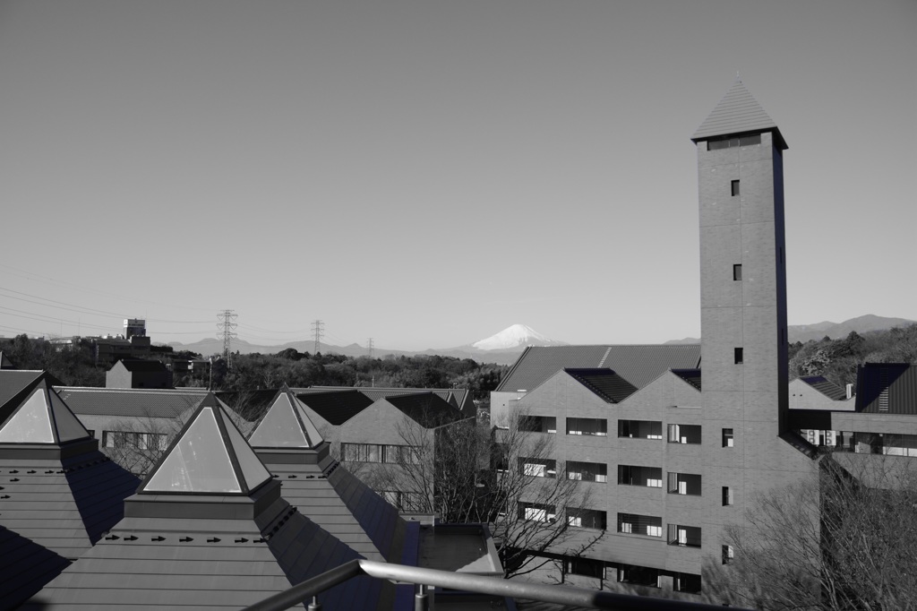 だいがく