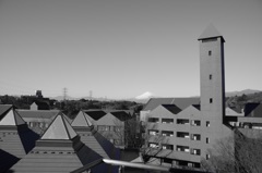 だいがく