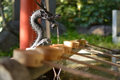 竜