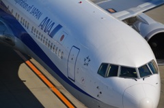 ANA