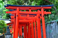 鳥居