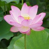 千秋公園