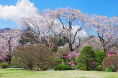 河口湖