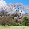 河口湖