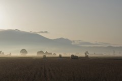 富良野