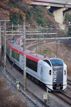 IMGP3440