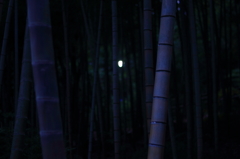 竹取物語 竹取物語