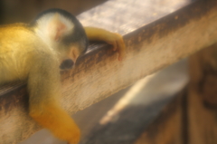 ひとやすみのつもりが…