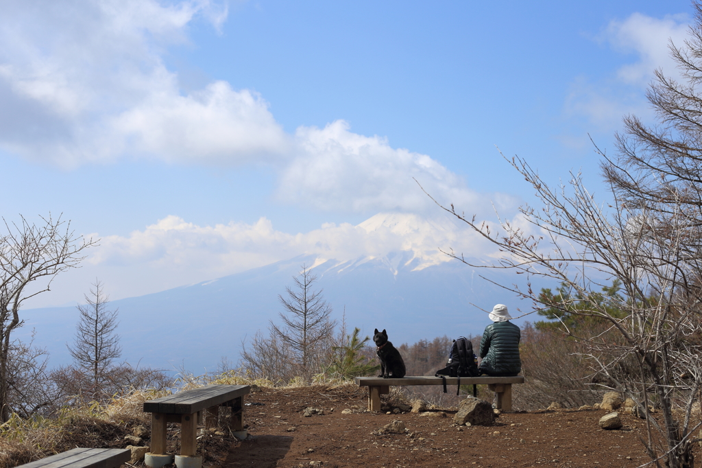 二人旅