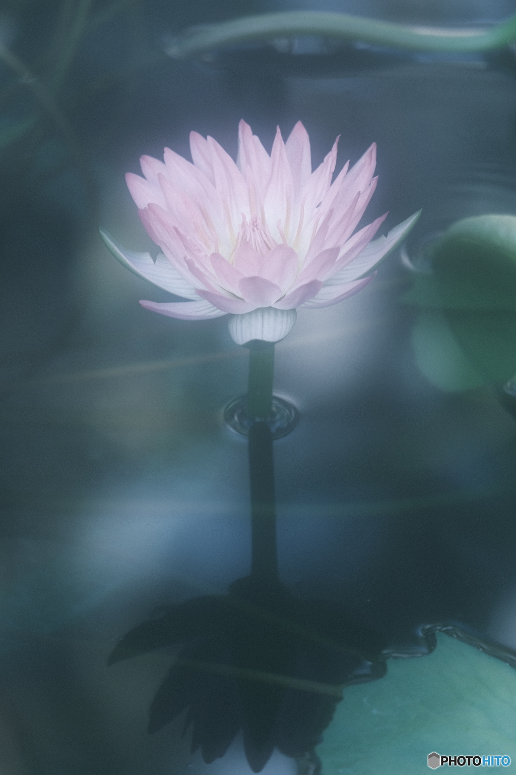 幻想
