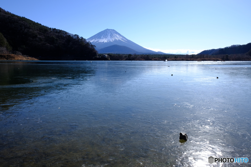 氷上の富士山