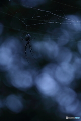 冷たい雨の中で