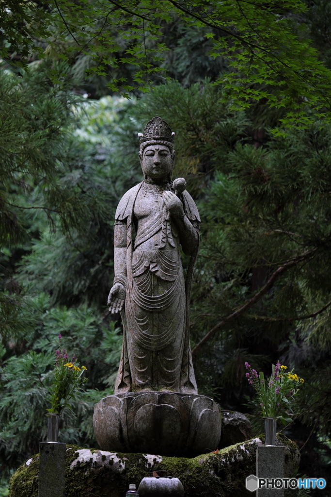 永平寺にてⅠ