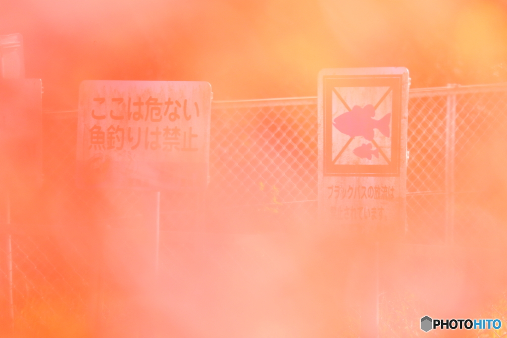記憶