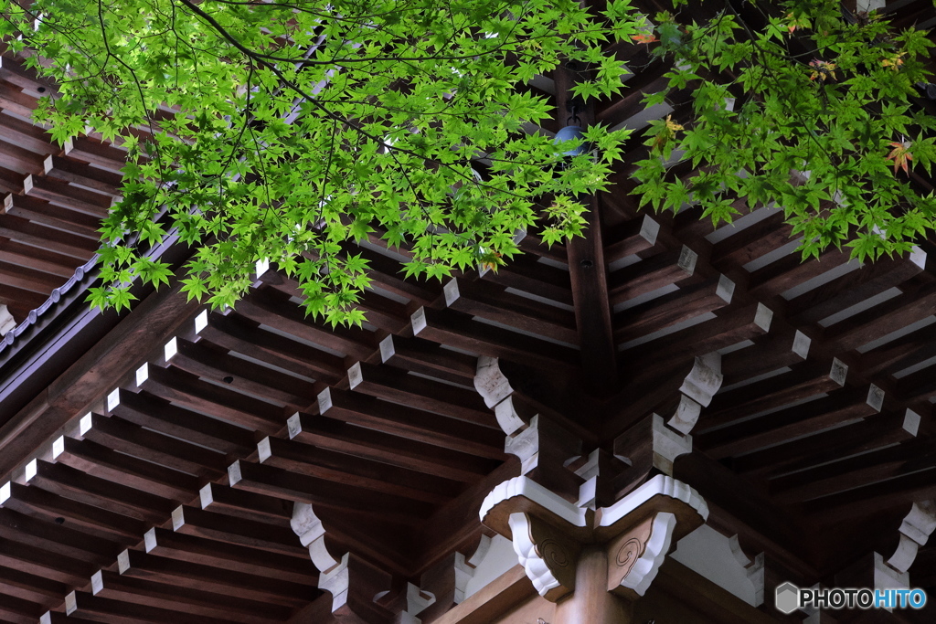 永平寺にてⅡ