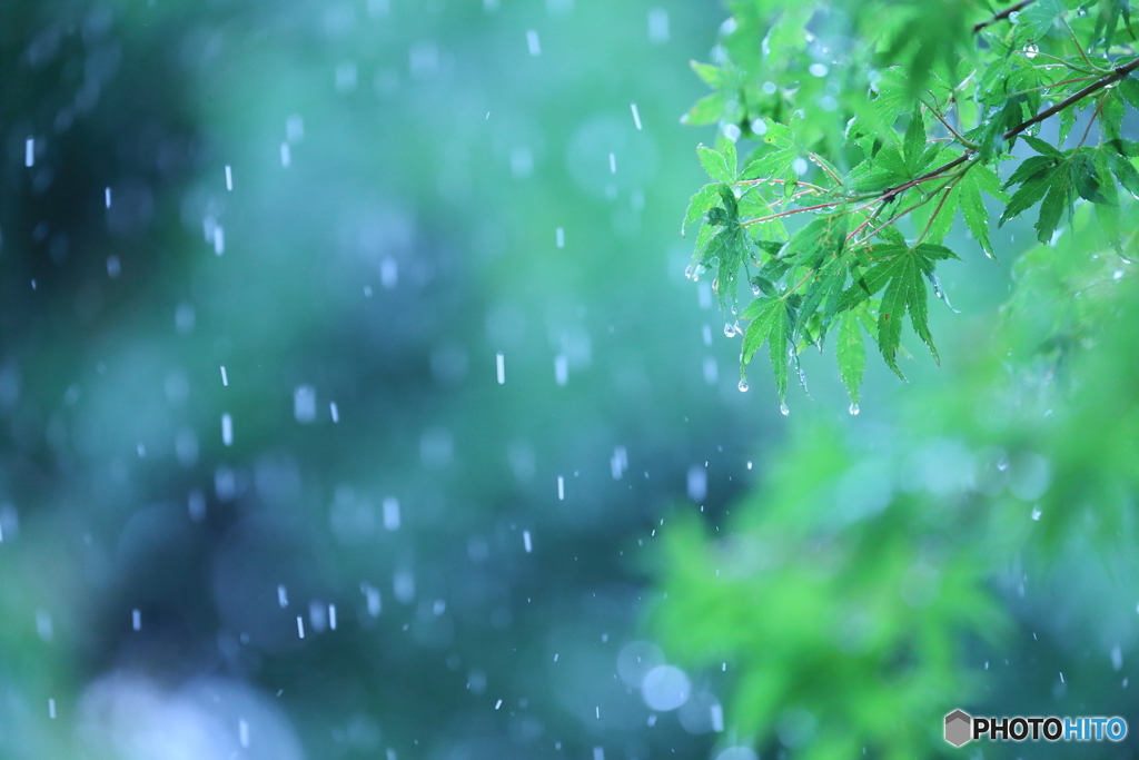 梅雨色ファンタジー
