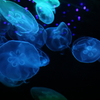 目の前の宇宙