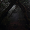 引き返せない