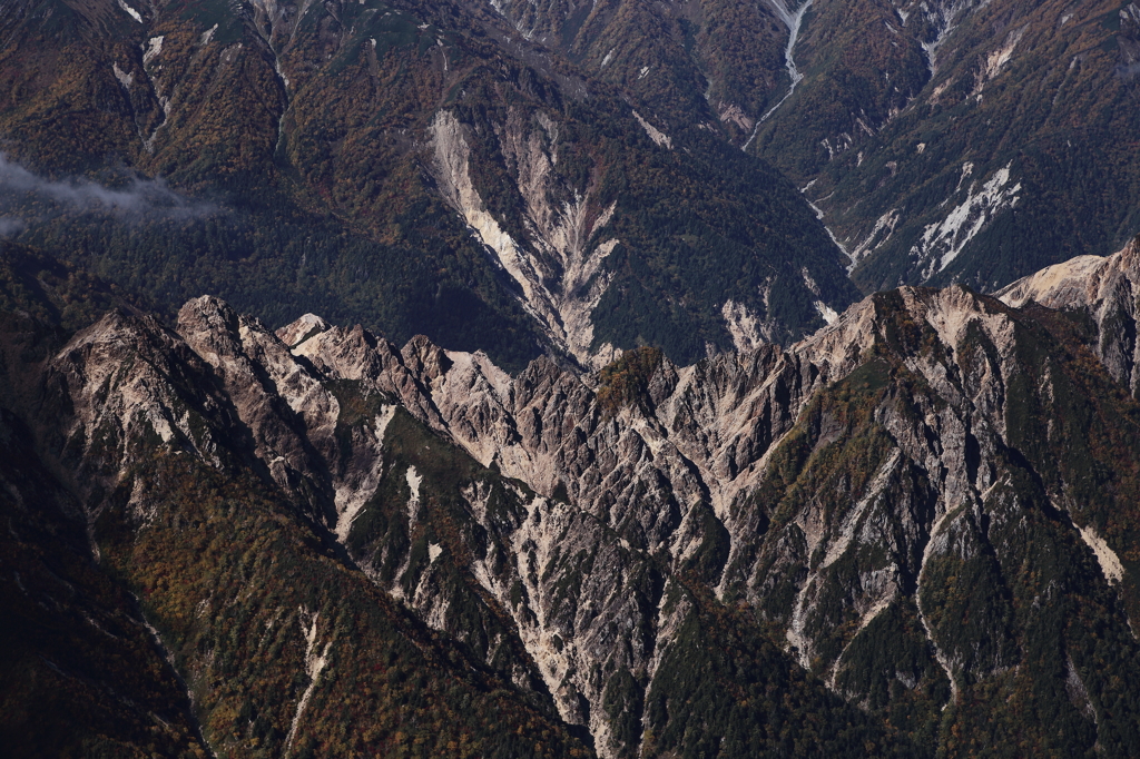 ステゴサウルス