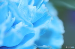 水色に抱かれて 水色に抱かれて