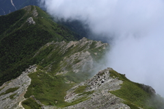 小太郎山稜線