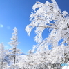 きらり