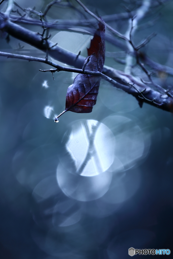 雨止んで